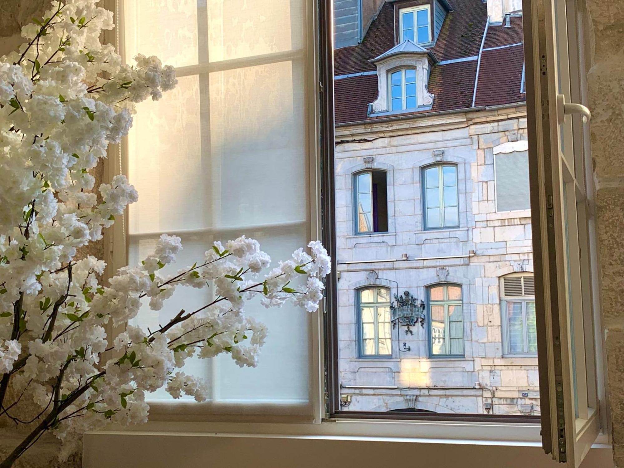 Les Fabuleux Appartements Du Coeur De Ville - Place Victor Hugo بُيزانكون المظهر الخارجي الصورة
